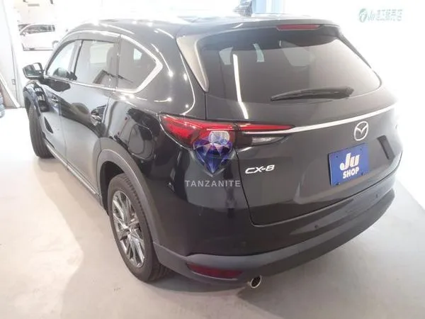 2019 Mazda CX8