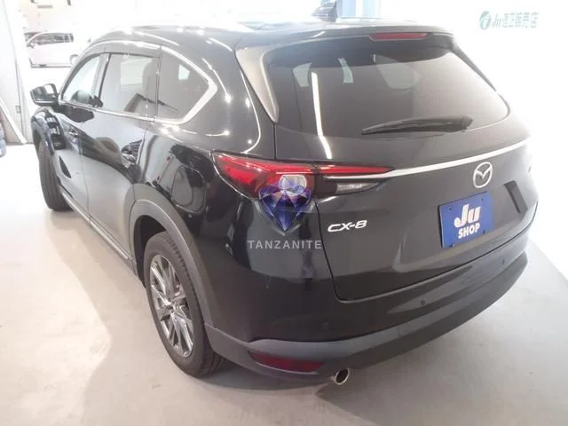 2019 Mazda CX8