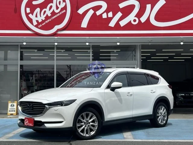 2018 Mazda CX8