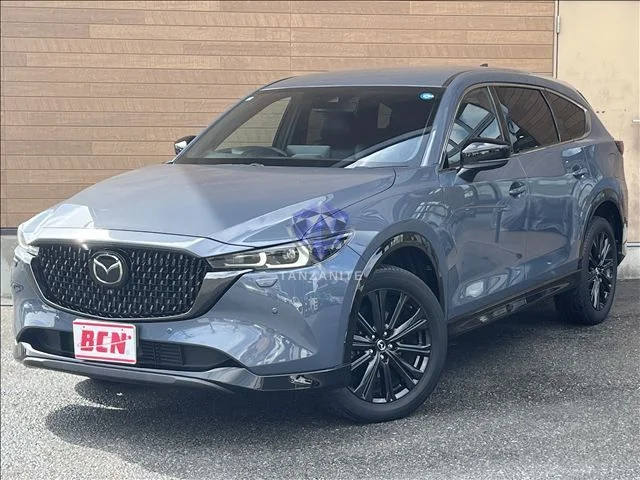2023 Mazda CX8