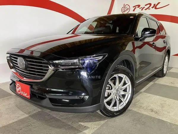 2019 Mazda CX8