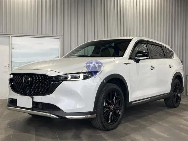 2023 Mazda CX8