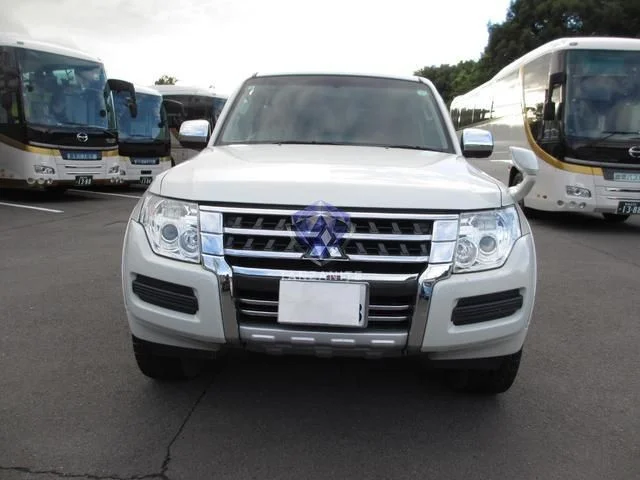 2015 Mitsubishi Pajero