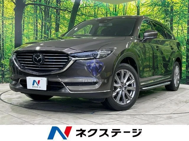 2019 Mazda CX8