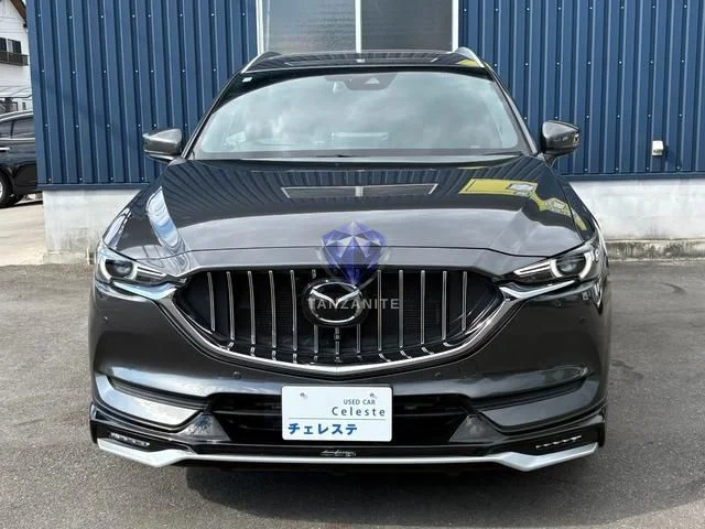 2018 Mazda CX8