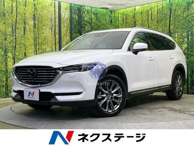 2019 Mazda CX8