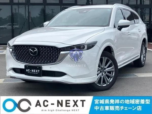 2023 Mazda CX8