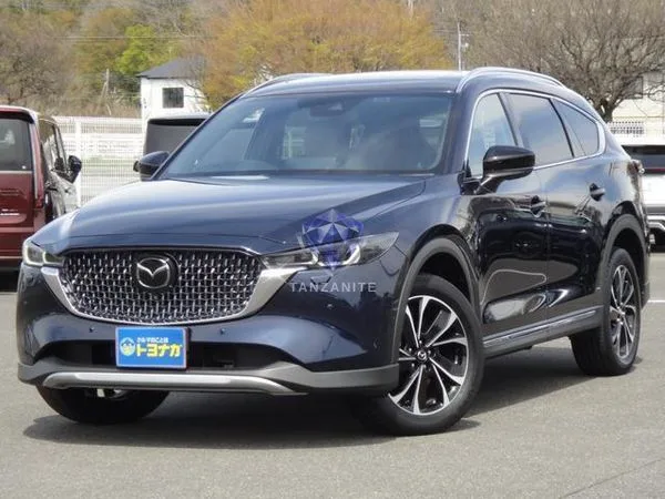 2023 Mazda CX8