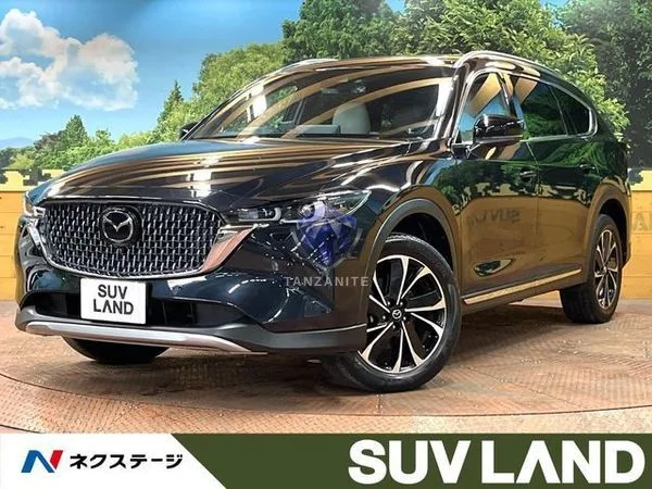 2023 Mazda CX8
