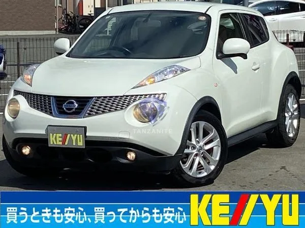 2012 Nissan Juke