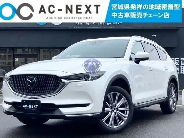 2021 Mazda CX8