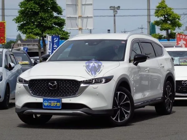 2023 Mazda CX8