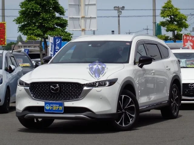 2023 Mazda CX8