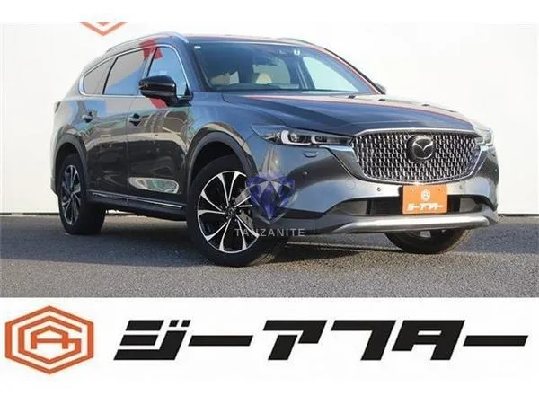 2023 Mazda CX8
