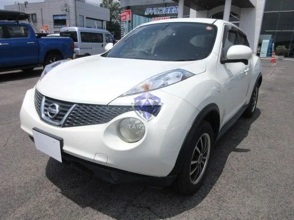 2011 Nissan Juke