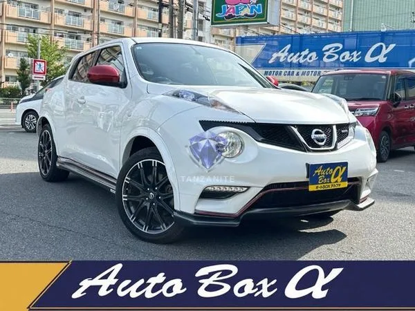 2013 Nissan Juke