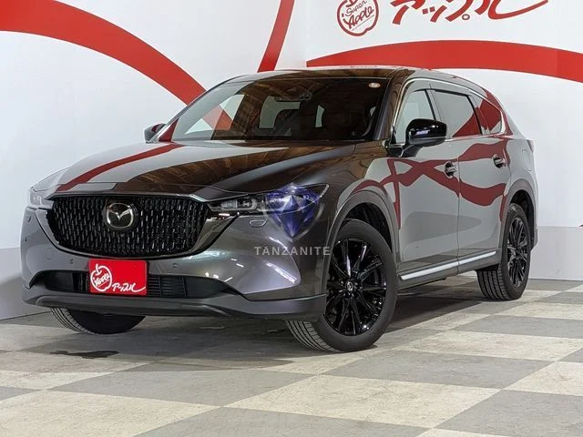 2023 Mazda CX8
