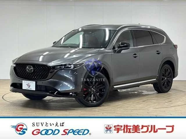 2023 Mazda CX8