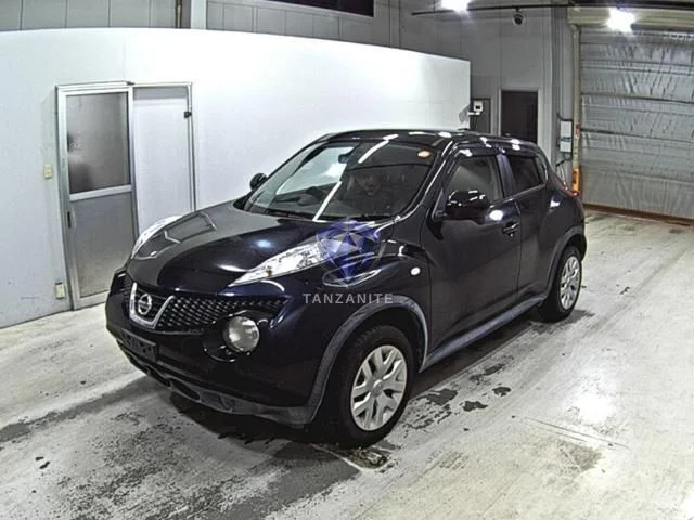 2013 Nissan Juke