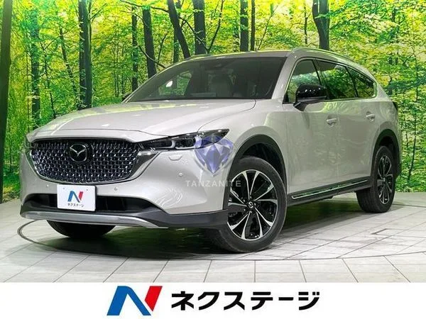 2023 Mazda CX8