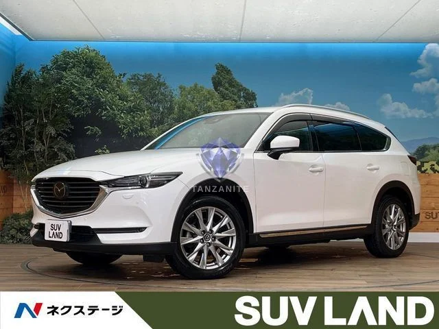 2018 Mazda CX8