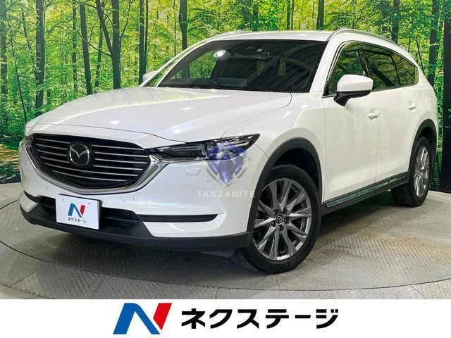 2021 Mazda CX8