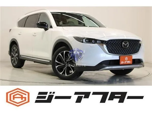 2023 Mazda CX8