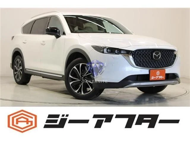 2023 Mazda CX8