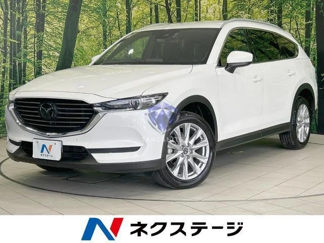 2017 Mazda CX8