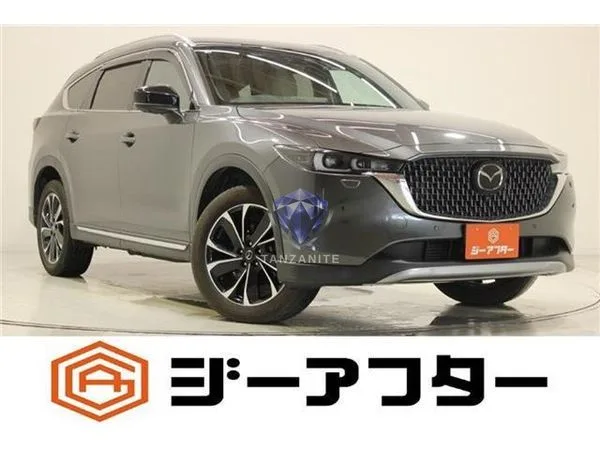 2023 Mazda CX8