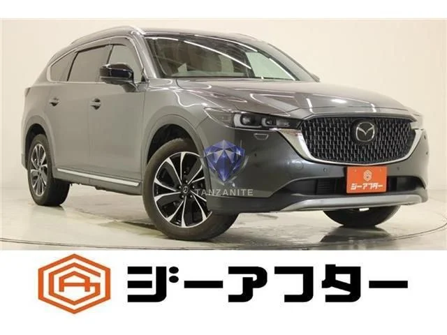 2023 Mazda CX8