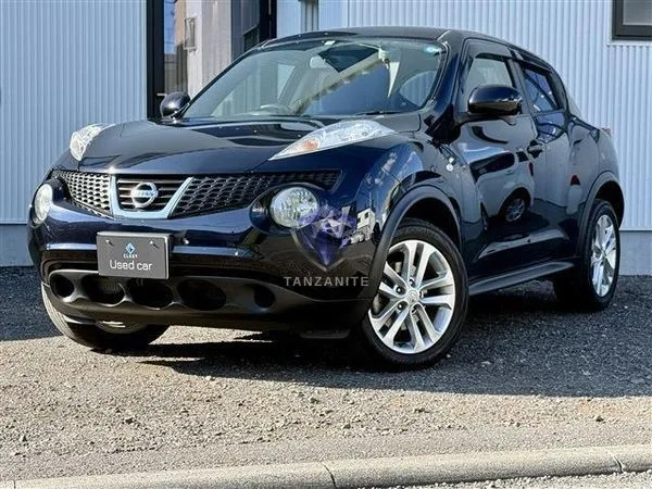 2012 Nissan Juke