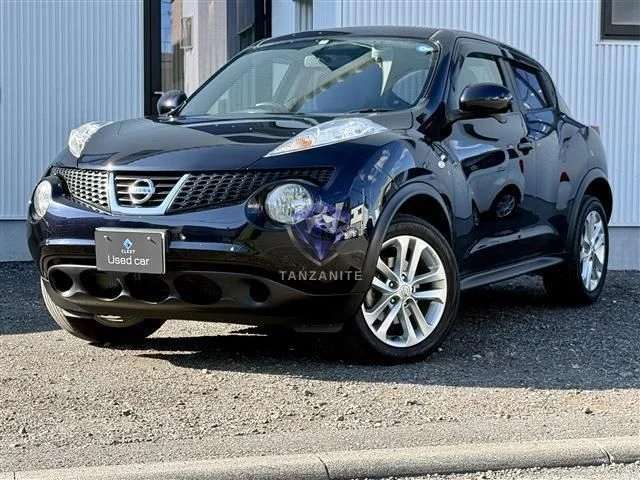 2012 Nissan Juke