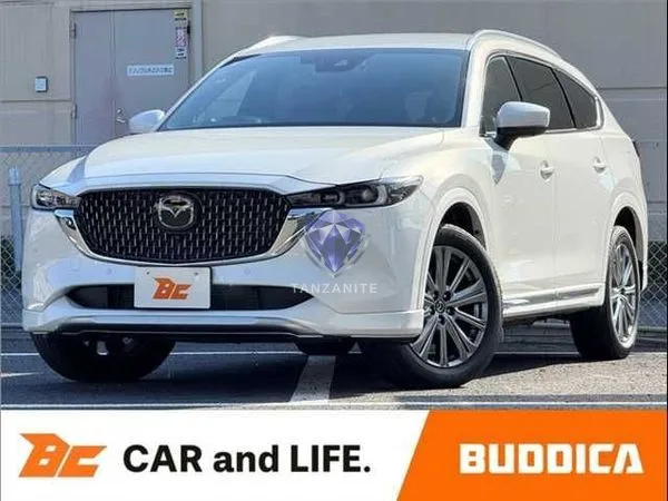 2023 Mazda CX8