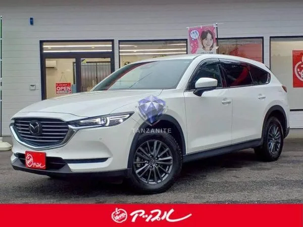 2022 Mazda CX8