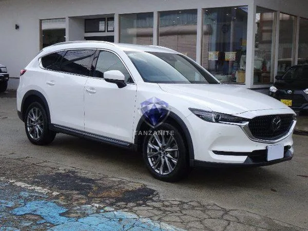 2021 Mazda CX8