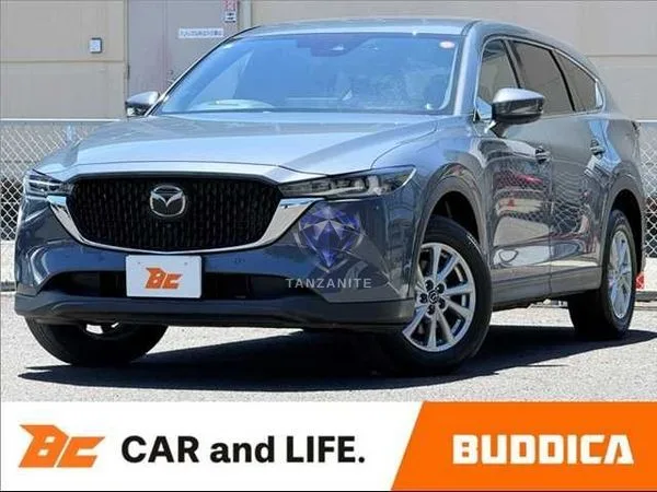 2023 Mazda CX8