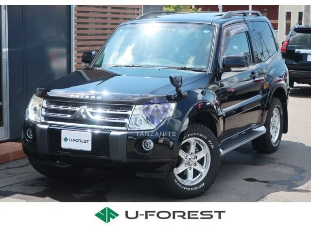 2011 Mitsubishi Pajero