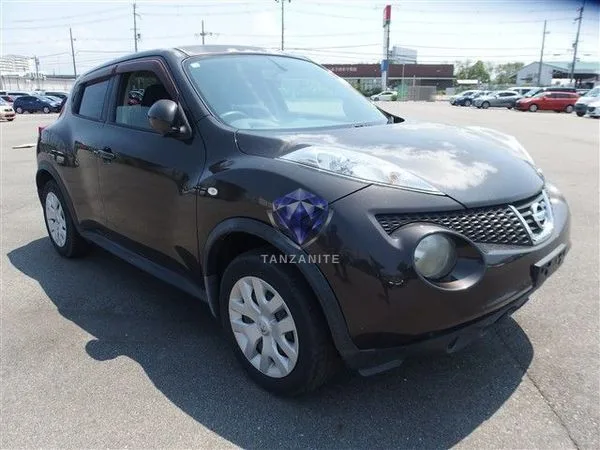 2011 Nissan Juke