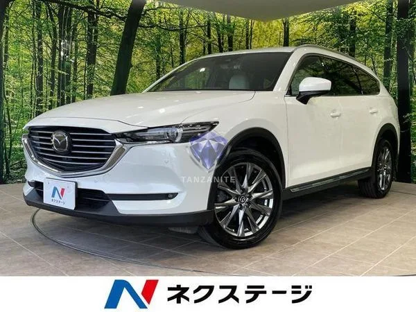 2019 Mazda CX8
