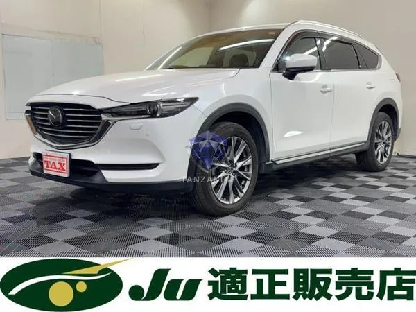 2019 Mazda CX8