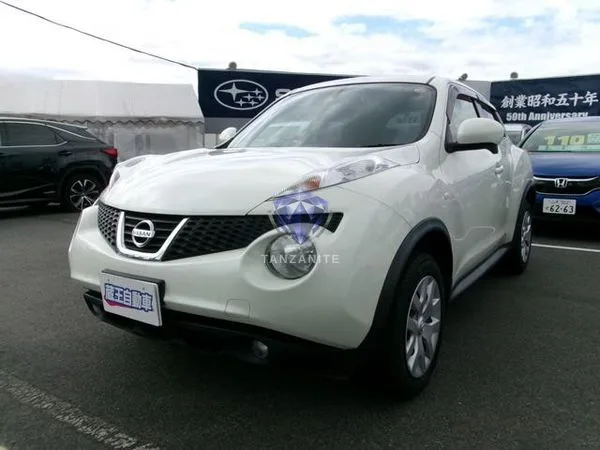 2010 Nissan Juke