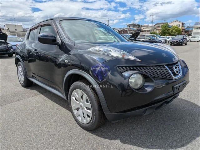 2010 Nissan Juke