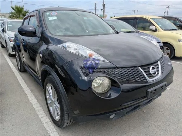 2011 Nissan Juke