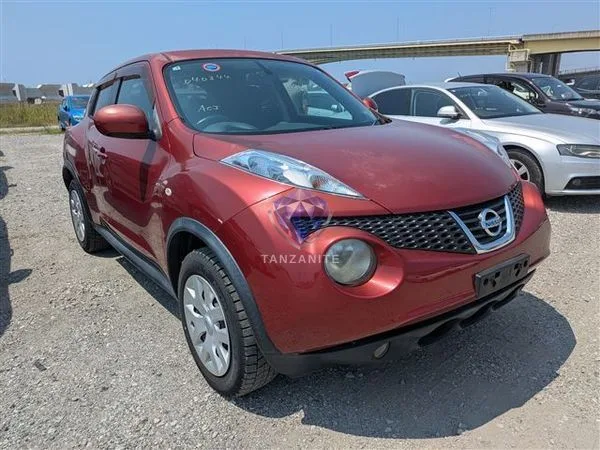 2011 Nissan Juke
