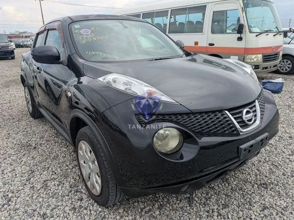 2011 Nissan Juke