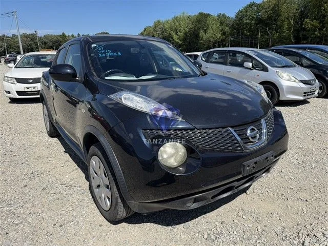 2012 Nissan Juke