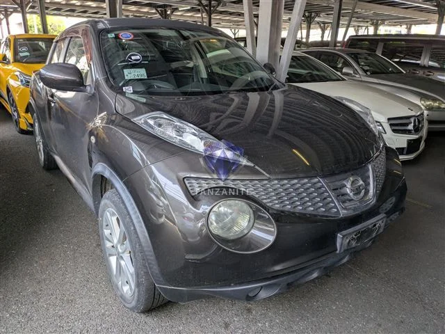 2010 Nissan Juke