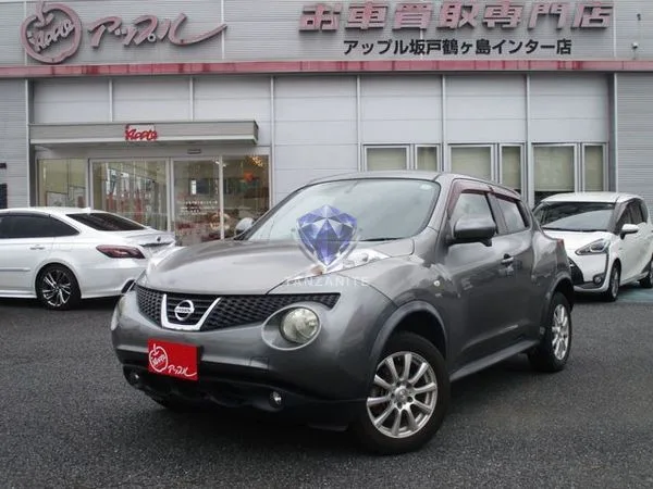 2011 Nissan Juke