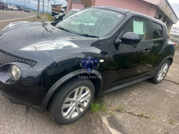 2010 Nissan Juke
